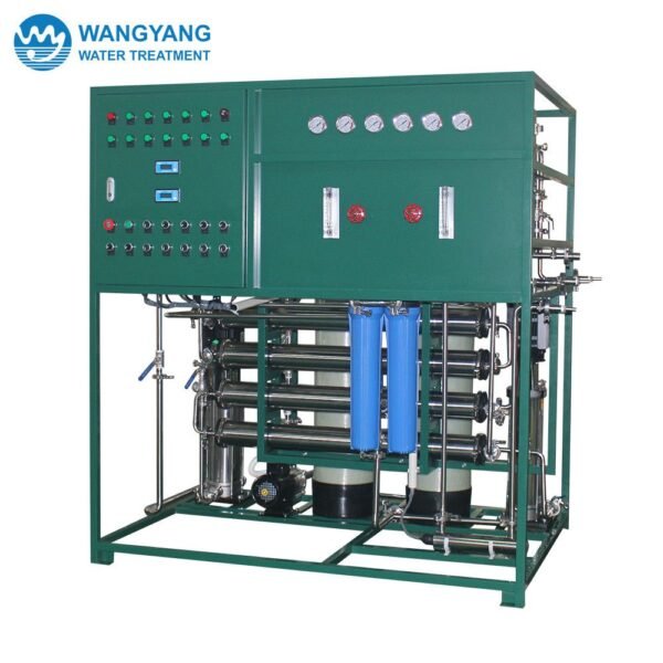 10TPD Double Pass RO Pure Water Treatment System WY-TW-10-2