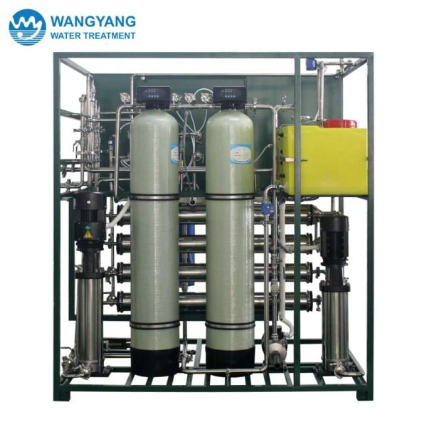 10TPD Double Pass RO Pure Water Treatment System WY-TW-10-2 - Image 2