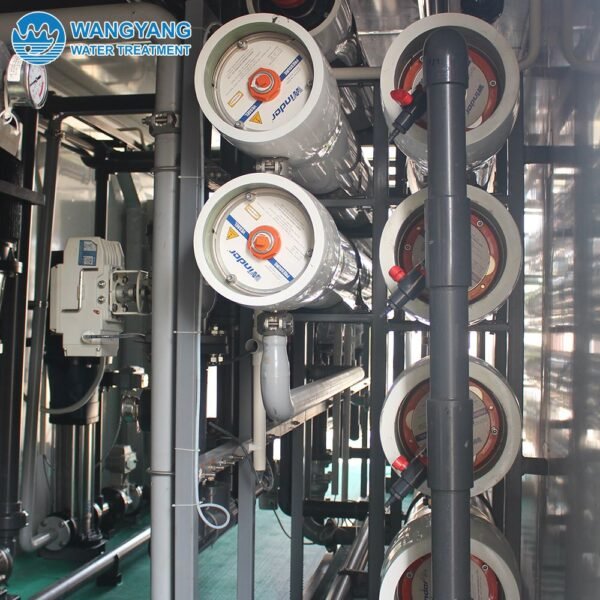 240TPD Double Pass RO Reverse Osmosis Brackish Water Desalination Equipment For Drinking Water WY-BW-240-2 - Image 4