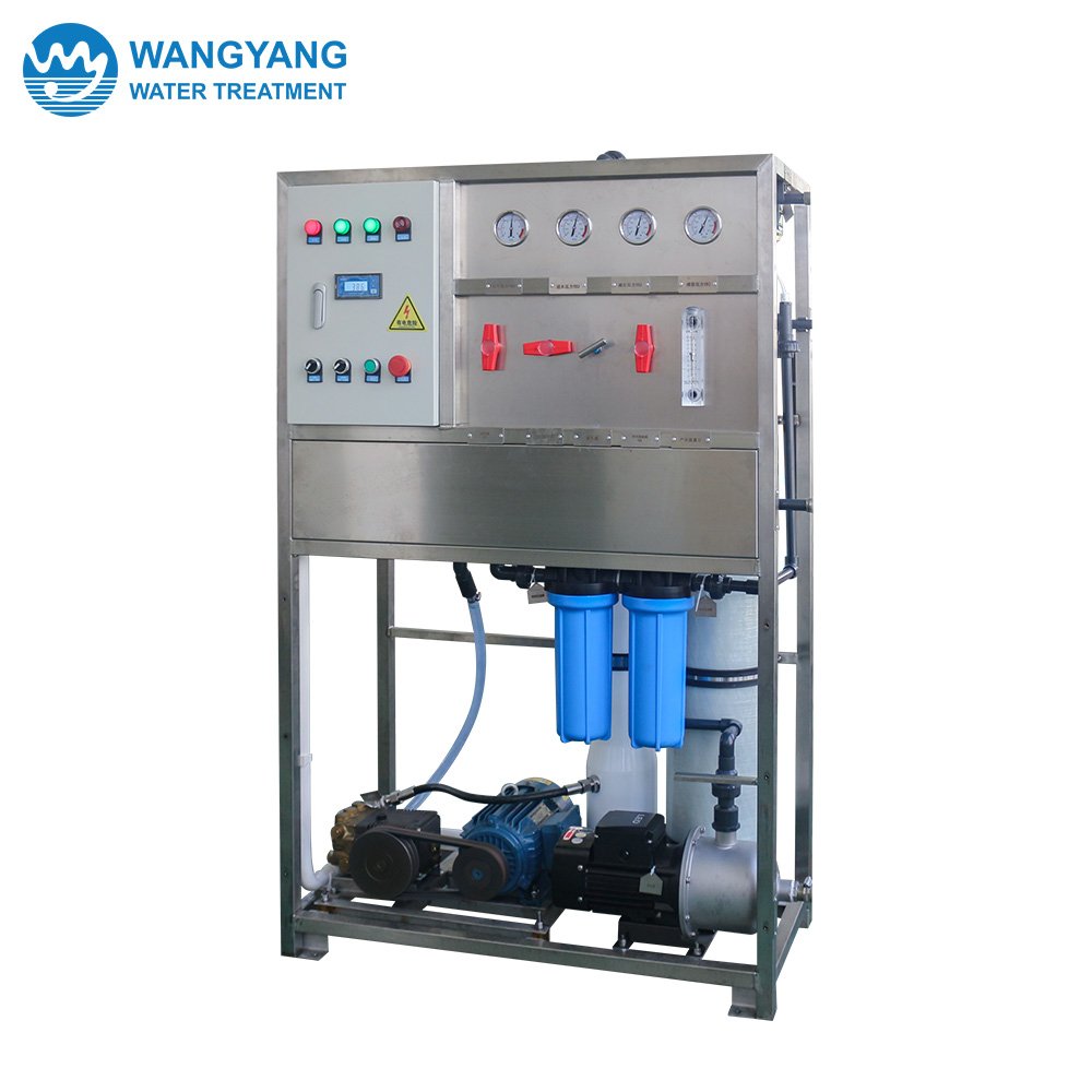 2TPD Reverse Osmosis Seawater Desalination System WY-FSHB-2
